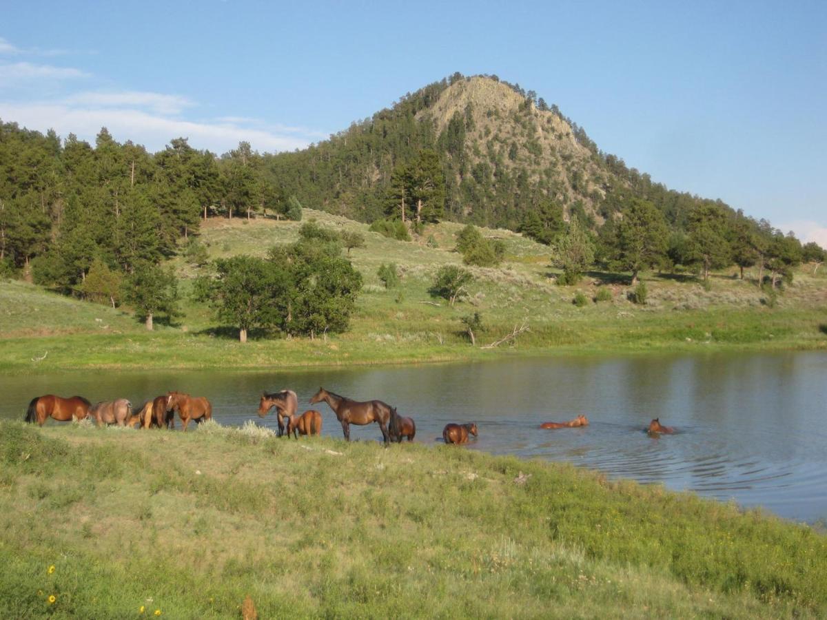 Lake Guest Ranch Villa Devils Tower Exteriör bild